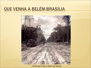 Construção mata a dentro da rodovia 