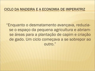 “ Enquanto o desmatamento avançava, reduzia-se o espaço da pequena agricultura e abriam-se áreas para a plantação de capim e criação de gado. Um ciclo começava a se sobrepor ao outro.” 