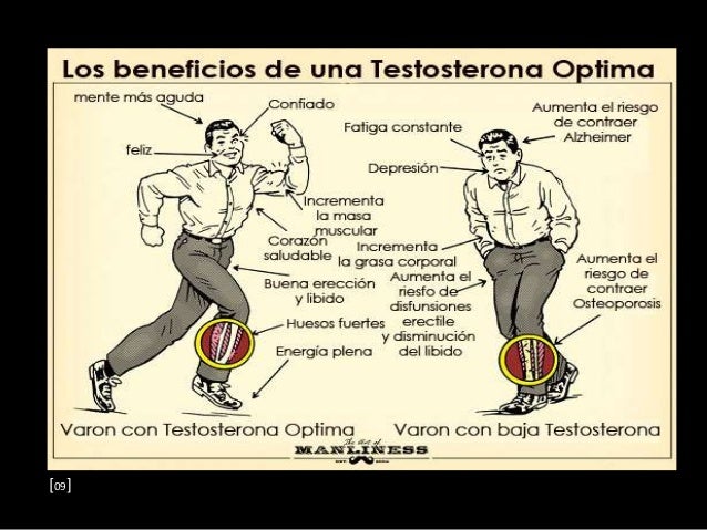 Testosterona Testosterona