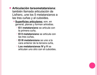  Articulación tarsometatarsiana:
también llamada articulación de
Lisfranc, une los 5 metatarsianos a
las tres cuñas y al cuboides.
 Superficies articulares: son, en
general, planas y forman artrodias.
 El I metatarsiano se articula con
la primera cuña,
 El II metatarsiano se articula con
las tres cuñas,
 El III metatarsiano se une a la
cara anterior de la tercera cuña,
 Los metatarsianos IV y V se
articulan uno otro con el cuboides.
 