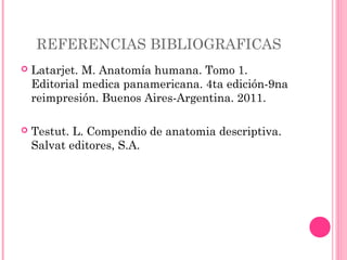 REFERENCIAS BIBLIOGRAFICAS
 Latarjet. M. Anatomía humana. Tomo 1.
Editorial medica panamericana. 4ta edición-9na
reimpresión. Buenos Aires-Argentina. 2011.
 Testut. L. Compendio de anatomia descriptiva.
Salvat editores, S.A.
 
