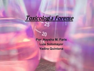 Toxicología Forense
Por: Naysha M. Faris
Luis Sotomayor
Yadira Quintana
 