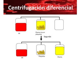 Centrifugación diferencial


              Plasma rico en
    GR
              plaquetas
                          Segundo




                  Plaquetas         Plasma
         GR
 