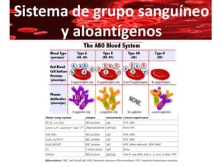 Sistema de grupo sanguíneo
      y aloantígenos
 