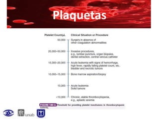 Plaquetas
 