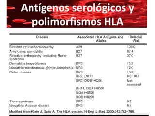 Antígenos serológicos y
  polimorfismos HLA
 