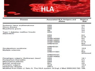HLA
 