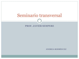 PROF. JAVIER SEMPERE ANDREA RODRÍGUEZ Seminario transversal 