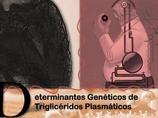 eterminantes Genéticos de
Triglicéridos Plasmáticos
 