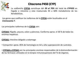 Citocromo P450 (CYP)
          La subfamilia CYP3A constituye del 30 al 70% del total de CYP450 en
          hígado e intestino y esta involucrada 45 a 60% metabolismo de los
          Xenobióticos.

Los genes que codifican las isoformas de la CYP3A están localizados en el
Cromosoma 7 .

Las principales isoformas de la CYP3A son:

CYP3A4: Hígado, yeyuno, colon y páncreas. Conforma aprox. el 30 % de todas las
enzimas hepáticas.

CYP3A5: Intestino delgado y estomago

• Comparten aprox. 85% de homología en AA y alta superposición de sustratos.

• CYP3A4 y CYP3A5 son las principales enzimas responsables de la biotransformación
de los fármacos utilizados en la terapia inmunosupresora del Tx de órganos.
 