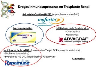 Drogas inmunosupresoras en Trasplante Renal
                Acido Micofenólico (MPA) (mycophenolate mofetil)




       Corticoesteroides                    Inhibidores de la Calcineurina:
                                                    •Ciclosporina
                                                     •Tacrolimus.




Inhibidores de la mTORs (mammalian Target Of Rapamycin inhibitors):
• Sirolimus (rapamicina)
• Everolimus (40-O-(2-hydroxyethyl)-Rapamycin)
                                                          Azatioprina
 
