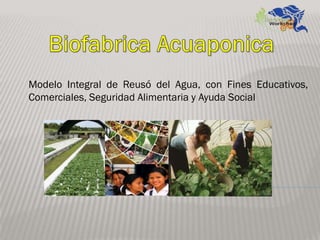 Modelo Integral de Reusó del Agua, con Fines Educativos,
Comerciales, Seguridad Alimentaria y Ayuda Social
 