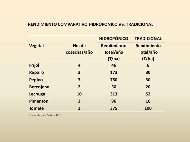 Repollo Hidroponico