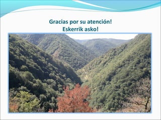 Gracias por su atención!
     Eskerrik asko!
 