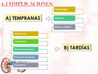A) TEMPRANAS
A) TEMPRANAS

B) TARDÍAS
B) TARDÍAS

 