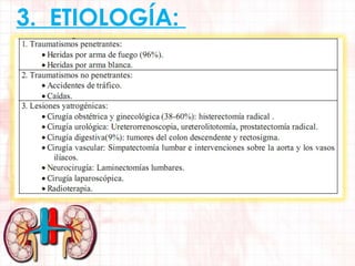 3. ETIOLOGÍA:

 