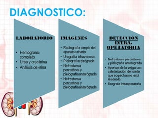 DIAGNOSTICO:

 