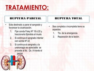 TRATAMIENTO:
RUPTURA PARCIAL
•

Esta destinado a parar el sangrado y
favorecer la cicatrización.
1. Fijar sonda Foley Nº 18 ó 20 y
traccionarla fijándola al muslo.
2. Si continua el sangrado intentar
con sonda Nº 22
3. Si continua el sangrado y la
uretrorragia es apreciable se
procede al tto. Qx. A través el
periné

RUPTURA TOTAL
•

Sea completa o incompleta tiene os
aspectos
1. Tto. de la emergencia.
2. Reparación de la lesión.

 