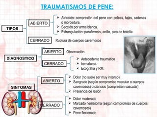 TRAUMATISMOS DE PENE:
ABIERTO

 Atricción: compresión del pene con poleas, fajas, cadenas
o mordedura.
 Sección por arma blanca.
 Estrangulación: parafimosis, anillo, pico de botella.

CERRADO

Ruptura de cuerpos cavernosos

TIPOS

ABIERTO
DIAGNOSTICO
CERRADO

ABIERTO
SINTOMAS

CERRADO

Observación.
 Antecedente traumático
 hematoma.
 Ecografía y RM.
 Dolor (no suele ser muy intenso)
 Sangrado (según compromiso vascular o cuerpos
cavernosos) o cianosis (compresión vascular)
 Presencia de lesión
 Dolor moderado
 Marcado hematoma (según compromiso de cuerpos
cavernosos)
 Pene flexionado

 