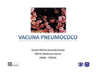 Sandra Milena Acevedo Rueda
MD R1 Medicina interna
UNAB – FOSCAL

 