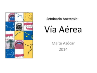 Vía Aérea
Maite Azócar
2014
Seminario Anestesia:
 