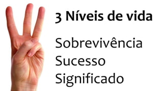 3 Níveis de vida 
Sobrevivência 
Sucesso 
Significado 
 