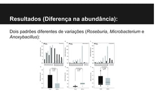 Resultados (Diferença na abundância):
Dois padrões diferentes de variações (Roseburia, Microbacterium e
Anoxybacillus):

 