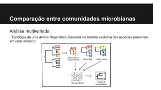 Comparação entre comunidades microbianas
Análise multivariada:
. Topologia de uma árvore filogenética, baseada na história evolutiva das espécies presentes
em cada amostra.

 