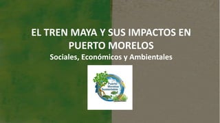 EL TREN MAYA Y SUS IMPACTOS EN
PUERTO MORELOS
Sociales, Económicos y Ambientales
 