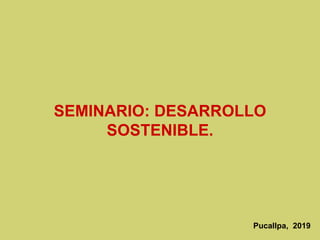 SEMINARIO: DESARROLLO
SOSTENIBLE.
Pucallpa, 2019
 