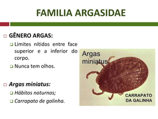 FAMILIA ARGASIDAE
 GÊNERO ARGAS:
 Limites nítidos entre face
superior e a inferior do
corpo.
 Nunca tem olhos.
 Argas miniatus:
 Hábitos noturnos;
 Carrapato de galinha.
 
