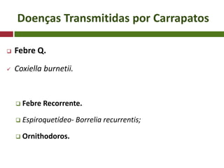 Doenças Transmitidas por Carrapatos
 Febre Q.
 Coxiella burnetii.
 Febre Recorrente.
 Espiroquetídeo- Borrelia recurrentis;
 Ornithodoros.
 