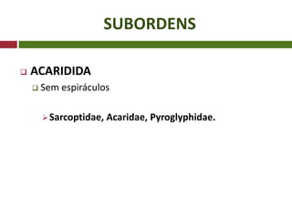 SUBORDENS
 ACARIDIDA
 Sem espiráculos
Sarcoptidae, Acaridae, Pyroglyphidae.
 