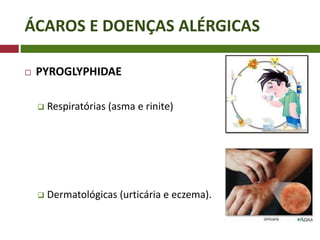 ÁCAROS E DOENÇAS ALÉRGICAS
 PYROGLYPHIDAE
 Respiratórias (asma e rinite)
 Dermatológicas (urticária e eczema).
 