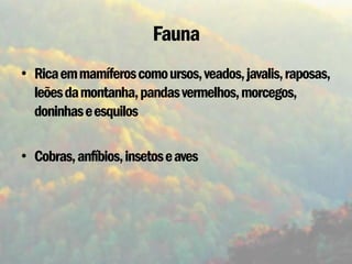 Fauna
• Rica em mamíferos como ursos, veados, javalis, raposas,
  leões da montanha, pandas vermelhos, morcegos,
  doninhas e esquilos

• Cobras, anfíbios, insetos e aves
 