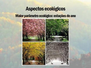 Aspectos ecológicos
Maior parâmetro ecológico: estações do ano
 