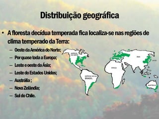 Distribuição geográfica
• A floresta decídua temperada fica localiza-se nas regiões de
  clima temperado da Terra:
   –   Oeste da América do Norte;
   –   Por quase toda a Europa;
   –   Leste e oeste da Ásia;
   –   Leste do Estados Unidos;
   –   Austrália ;
   –   Nova Zelândia;
   –   Sul do Chile.
 