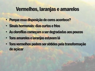 Vermelhos, laranjas e amarelos
•   Porque essa disposição de cores acontece?
•   Sinais hormonais: dias curtos e frios
•   As clorofilas começam a ser degradadas aos poucos
•   Tons amarelos e laranjas estavam lá
•   Tons vermelhos podem ser obtidos pela transformação
    do açúcar
 
