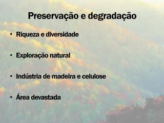 Preservação e degradação
• Riqueza e diversidade

• Exploração natural

• Indústria de madeira e celulose

• Área devastada
 