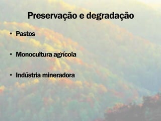Preservação e degradação
• Pastos

• Monocultura agrícola

• Indústria mineradora
 