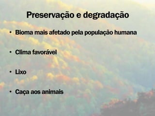Preservação e degradação
• Bioma mais afetado pela população humana

• Clima favorável

• Lixo

• Caça aos animais
 