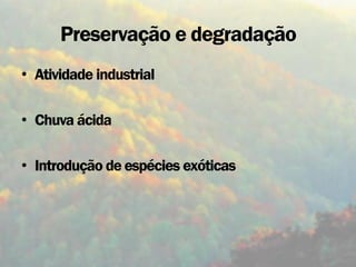 Preservação e degradação
• Atividade industrial

• Chuva ácida

• Introdução de espécies exóticas
 