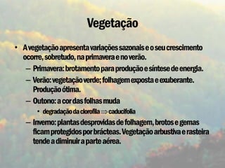 Vegetação
• A vegetação apresenta variações sazonais e o seu crescimento
  ocorre, sobretudo, na primavera e no verão.
   – Primavera: brotamento para produção e síntese de energia.
   – Verão: vegetação verde; folhagem exposta e exuberante.
      Produção ótima.
   – Outono: a cor das folhas muda
       • degradação da clorofila  caducifolia
   – Inverno: plantas desprovidas de folhagem, brotos e gemas
     ficam protegidos por brácteas. Vegetação arbustiva e rasteira
     tende a diminuir a parte aérea.
 