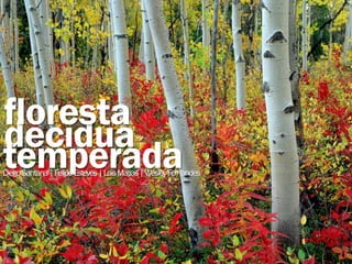 floresta
decídua
temperada
Diego Santana | Felipe Esteves | Lais Matias | Wesley Fernandes
 