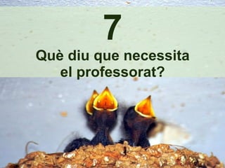7 Què diu que necessita el professorat? 