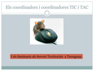 Elscoordinadors i coordinadores TIC i TAC I elsSeminarisalsServeisTerritorials  a Tarragona 