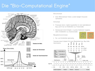 Aufgabe, Werkzeug und Umwelt
Aufgabenwissen Werkzeugwissen
Programm
Benutzer -
Welt/Handlungsmodell
Software -
Welt/Handlungsmodell
Welt - “Ding an Sich”
Interaktion
●
Abstrakt – Lochkarten
●
Grafisch - GUI
●
Virtuell - Holodeck
?
 
