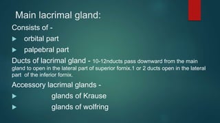 Main lacrimal gland:
Consists of -
 orbital part
 palpebral part
Ducts of lacrimal gland - 10-12nducts pass downward from the main
gland to open in the lateral part of superior fornix.1 or 2 ducts open in the lateral
part of the inferior fornix.
Accessory lacrimal glands -
 glands of Krause
 glands of wolfring
 