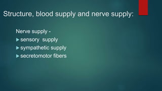 Structure, blood supply and nerve supply:
Nerve supply -
 sensory supply
 sympathetic supply
 secretomotor fibers
 
