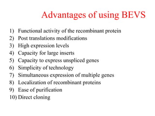 Advantages of using BEVS
1) Functional activity of the recombinant protein
2) Post translations modifications
3) High expression levels
4) Capacity for large inserts
5) Capacity to express unspliced genes
6) Simplicity of technology
7) Simultaneous expression of multiple genes
8) Localization of recombinant proteins
9) Ease of purification
10) Direct cloning
 